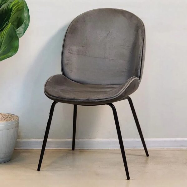Chaise Beetle - Image 5