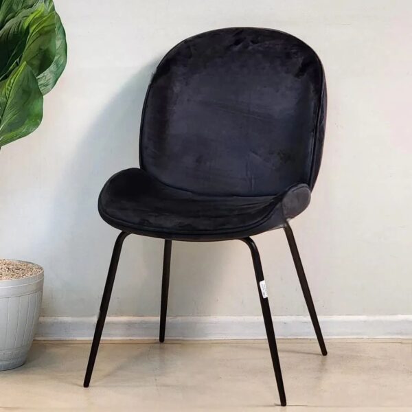 Chaise Beetle - Image 9