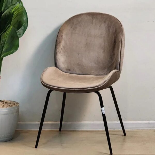 Chaise Beetle - Image 7