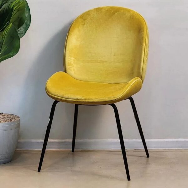 Chaise Beetle - Image 10