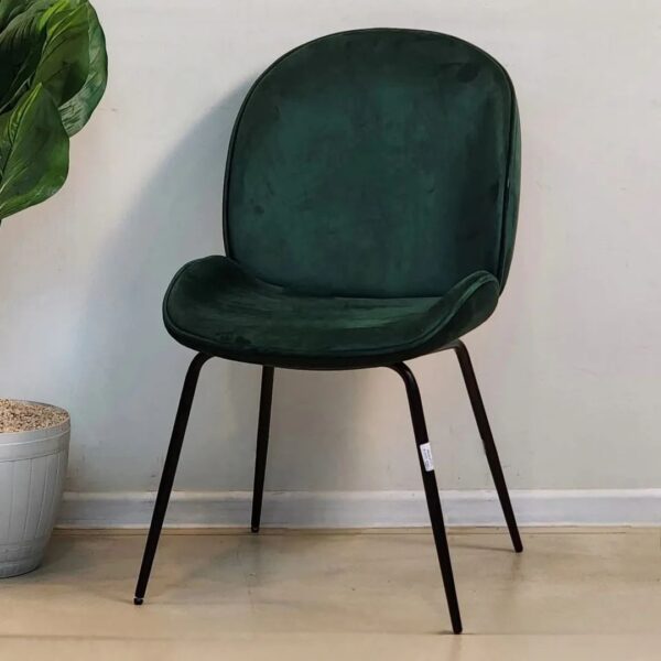 Chaise Beetle - Image 11