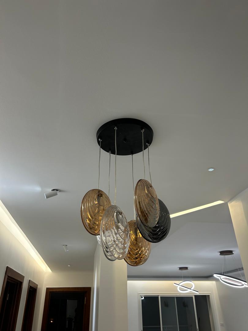 Suspension Mussels - Image 16