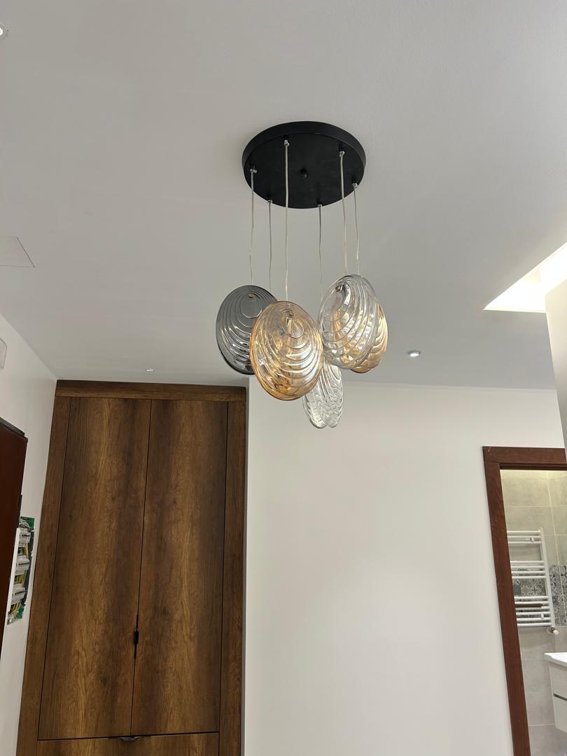 Suspension Mussels - Image 17