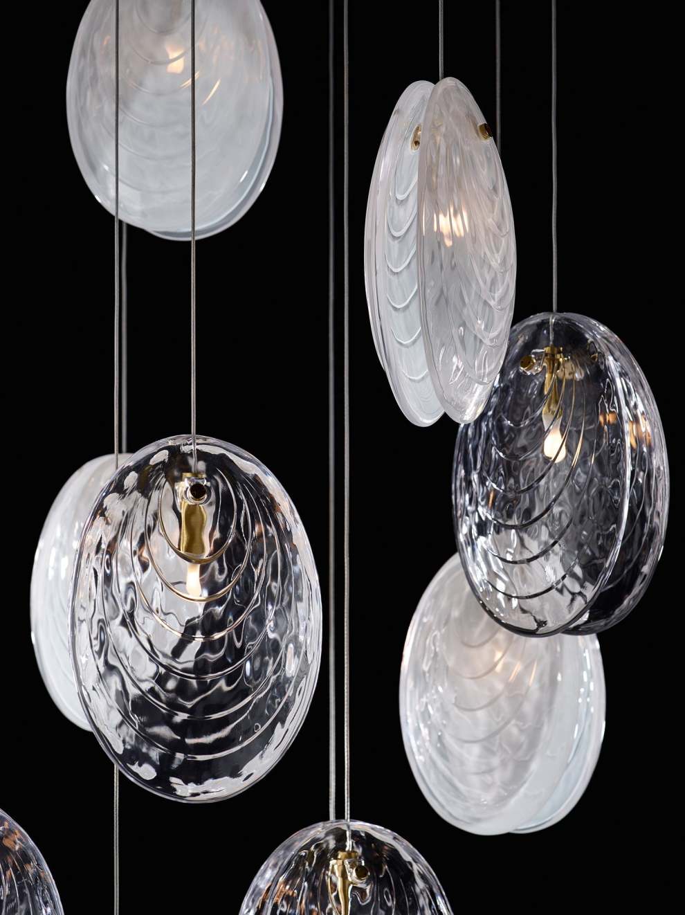 Suspension Mussels - Image 4