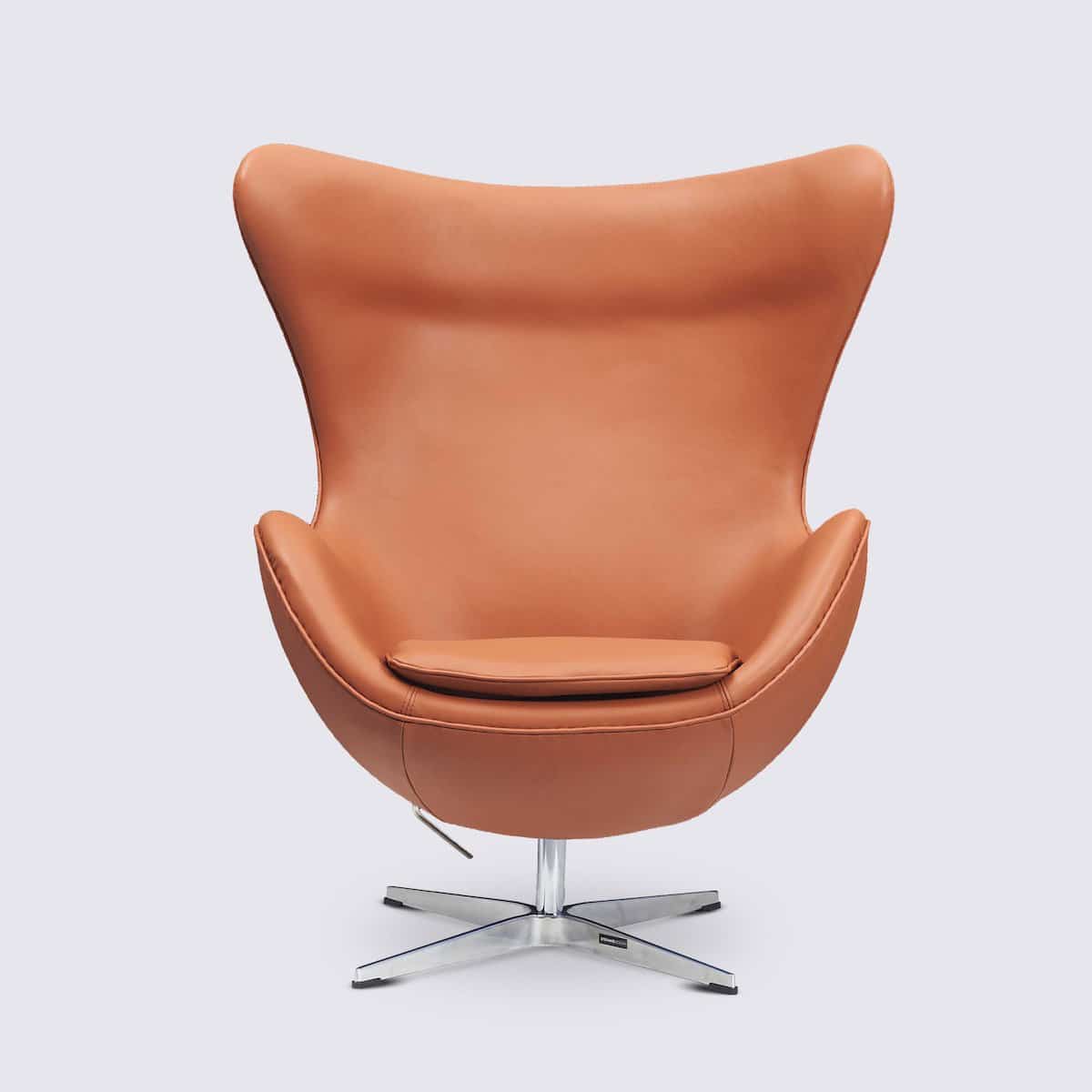 Egg Chair Confortable avec Repose-Pied – Couleurs Variées - Image 3