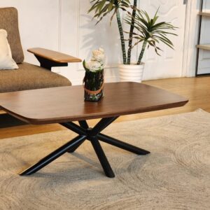 Table basse design avec plateau en bois